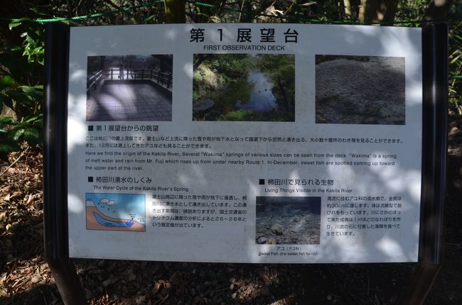 第一展望台からの眺望、柿田川で見られる生物、湧水のしくみが図解されています。<br />