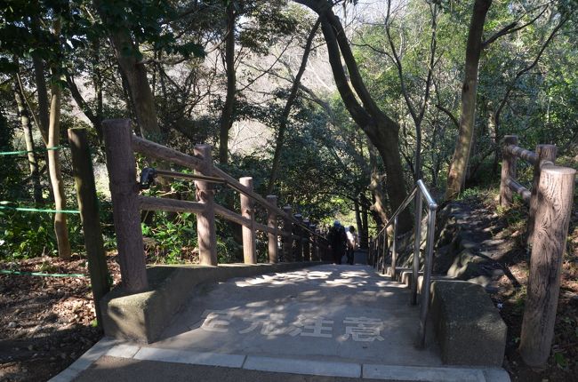 一般的な展望台と言えば階段を上がり遠くの眺望を満喫しますが、ここでは階段を下るのです。