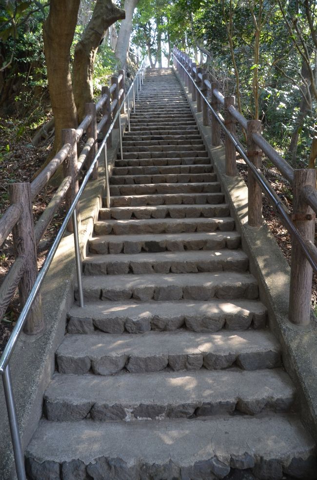 下から見上げています。<br />４０段から５０段くらいあります。