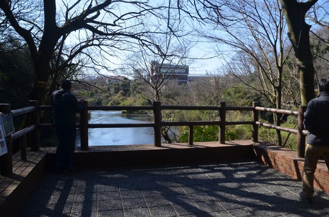 展望台からは柿田川と湧水が見られます。<br />国道のすぐ横にありながら静寂そのものです。