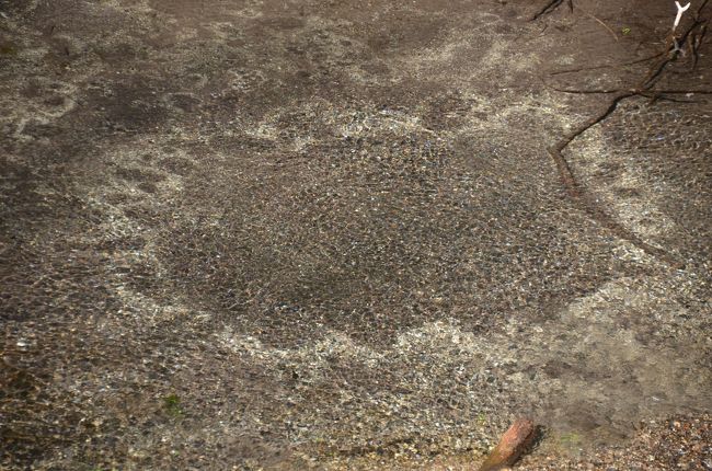 静止画だと全く状況が伝わりません。