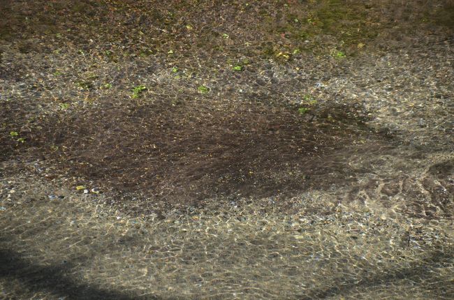 こんこんと砂を押し上げています。<br /><br />