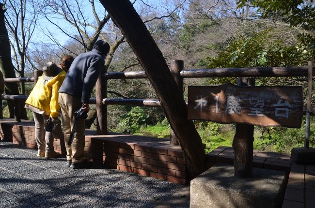 第一展望台から下を覗いていますが鳥がいるのです。