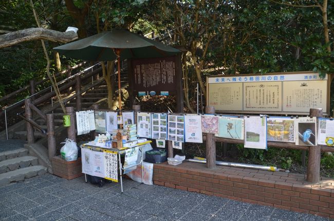 これらはナショナルトラストによる鳥類写真の展示等が雑然として並べられてありました。<br />ナショナルトラストの運動には理解、共感できますが、この場所に雑然としているのが気になりマイナスのイメージとなります。