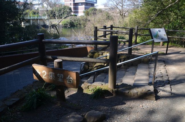 第一展望台よりも低いと感じます。