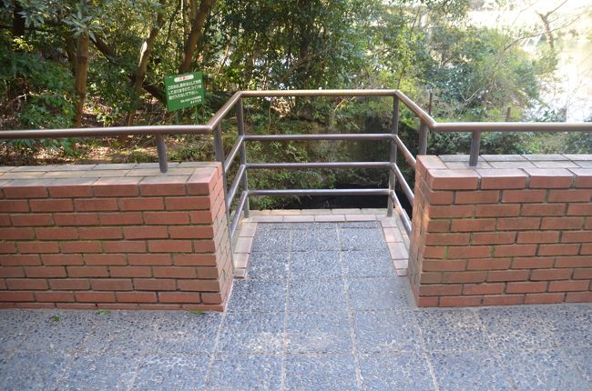 お立ち台があり湧水を上から観察できます。。