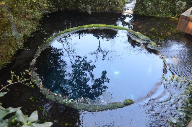 お立ち台からの写真です。<br />こちらも静止画だと湧水の状況が伝わりません。