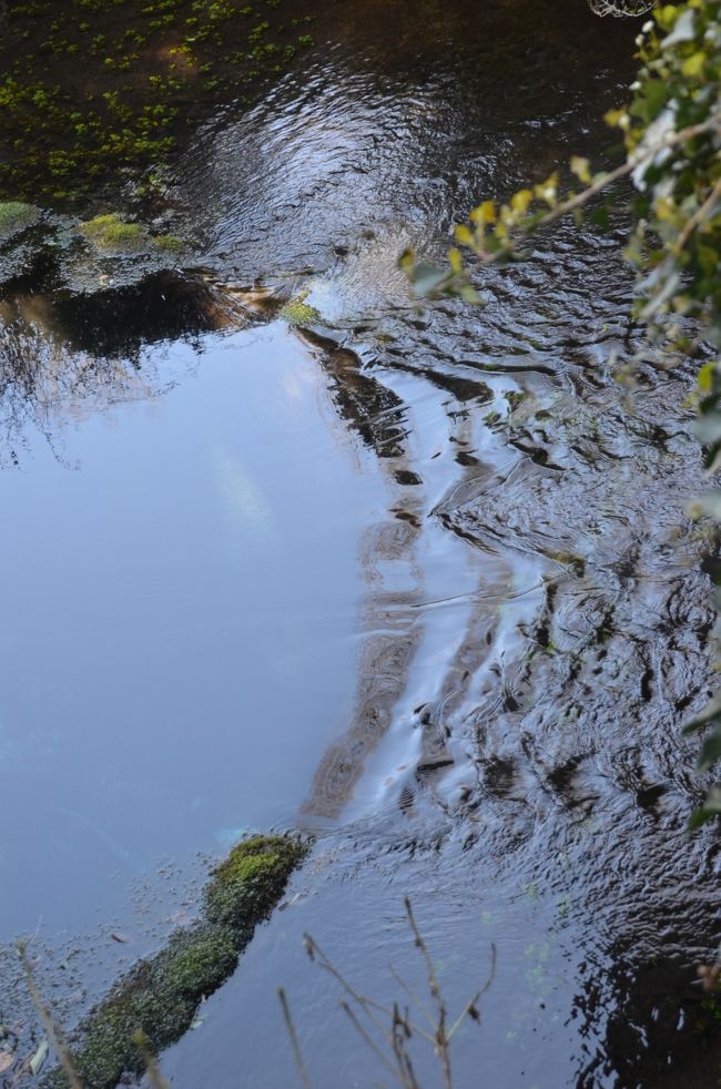 湧水の状況はこの流れ出る水の量で判断するしかありません。<br />しかし、湧水量は日に70万トンから100万トン程度で東洋一を誇っているそうですがもう少し噴き上がっていてもよいと感じます。