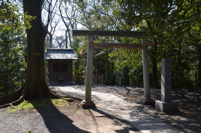 小さな鳥居と本殿があるだけです。