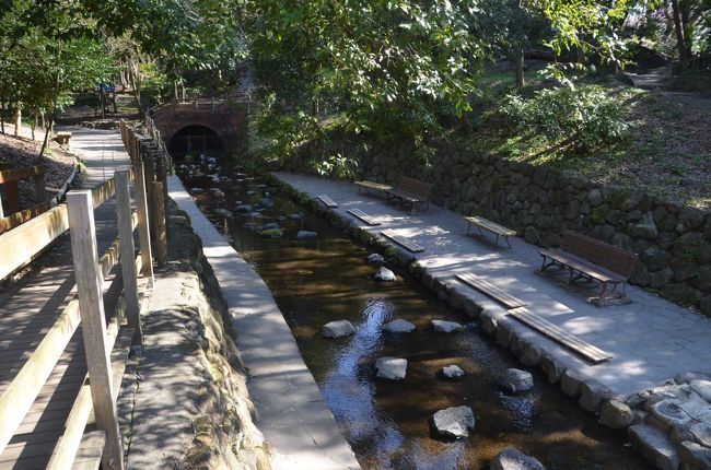 湧水広場<br />夏場でも水温は低く泳ぐことは出来ないでしょう。