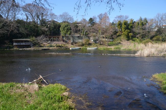 普段は野鳥が見られるのでしょう！