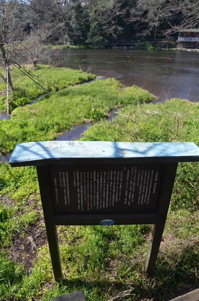 案内板の高さが低すぎます。