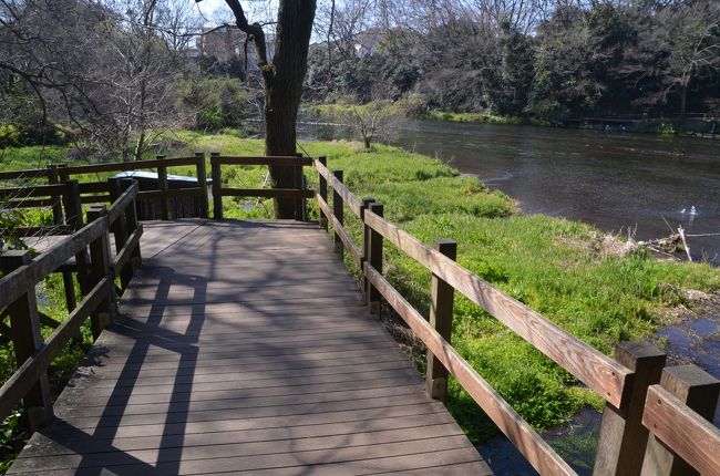これで案内板に高さ、場所が判ると思います。