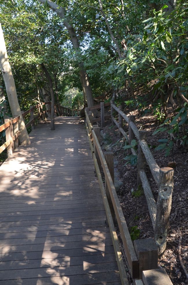 理由は昔設置下柵が低かったのです。<br />遊歩道は少し高い位置に新しく設置にたのですが案内板は以前のままのためです。