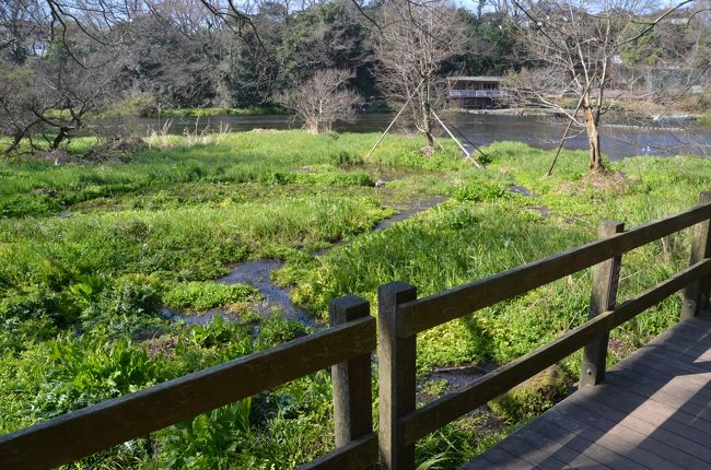 各所で湧水があるようですが場所が特定できません。