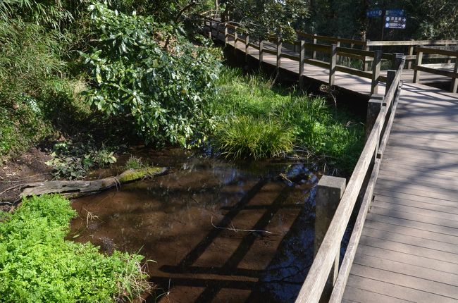 ここは湧水が見られます。