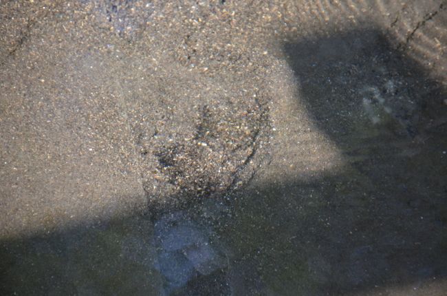 かなり勢いよく噴出しています。