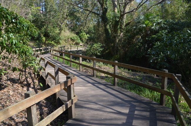 名の通りの八つ橋