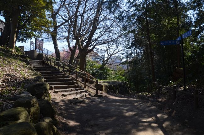 駐車場への階段<br />展望台の階段よりも段数が少ない。