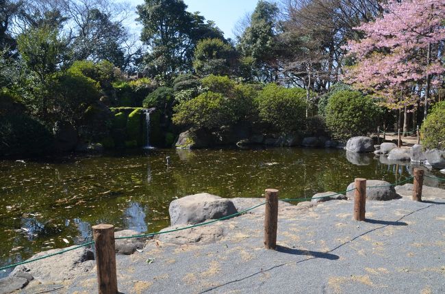 池があり滝もあり正に公園です。