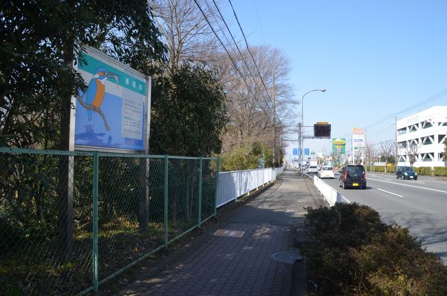 国道一号線横の柿田川<br />これは国交省の看板です。