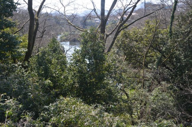 国道一号線から見る柿田川です。