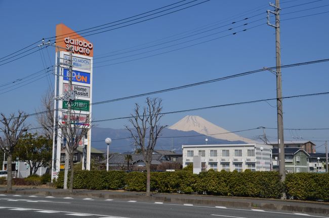 柿田川公園先にはは富士山が、柿田川の本当の源流は富士山なのです。<br />水はここまで地下の溶岩の隙間を流れてきたのです。<br /><br />ところで４トラでは柿田川がある清水町はエリアの選択で裾野、長泉に属しているようですが何故、清水町がないのでしょうか？<br />三島にも柿田川がありますが住所は静岡県柿田川となっていて、これでは全くガイドになりません。