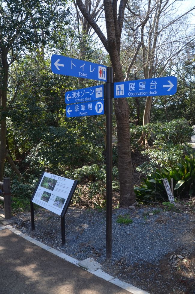 思ったよりも広く広場以外は決められた通路しか歩くことができませんが要所には案内板が設置されています。