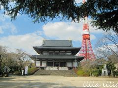 増上寺。
きゃりーぱみゅぱみゅさんがライブをここでやっていて、プロジェクションマッピングが面白かったですね。