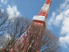 では東京タワーへ移動。