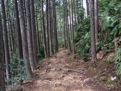 熊野古道。思っていた石畳の道とは違う山道を登って行きます。
