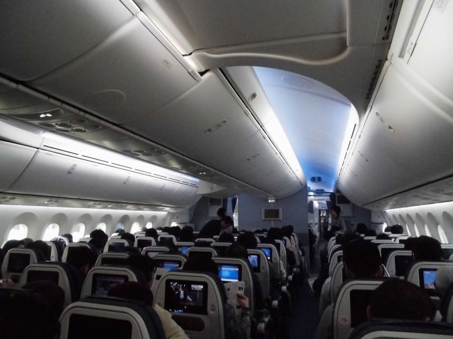 エコノミークラス　シートは３列・３列・３列です。