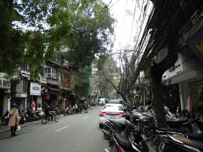 旧市街散策に向かいます。<br />ロスー（Lo So St)通り、緑が多いです。<br />