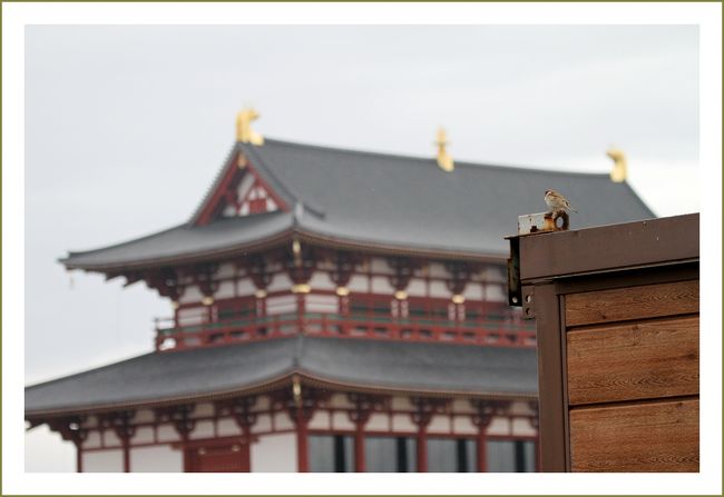 ★平城宮跡（観梅）／奈良県奈良市佐紀町<br />・第一次大極殿<br />　朱雀門の真北約800mに堂々とそびえる「大極殿」とスズメ