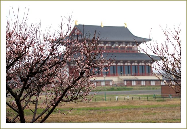 ★平城宮跡（観梅）／奈良県奈良市佐紀町<br />・第一次大極殿<br />　