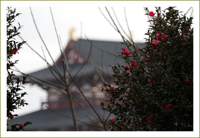 ★平城宮跡（観梅）／奈良県奈良市佐紀町<br />・第一次大極殿<br />　