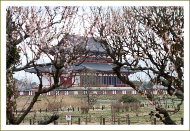 ★平城宮跡（観梅）／奈良県奈良市佐紀町<br />・第一次大極殿<br />　