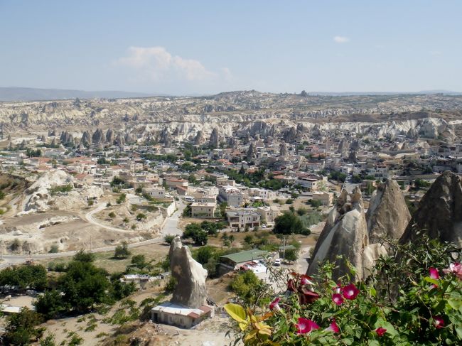 ここは、よくツアーで出てくる“トルコ人の一般家庭でのチャイ”にいく途中で撮影。ここでもガイドのおじさんが、やれキューリだなんだと勝手に取っては食べてみろと言って、それをくれる。