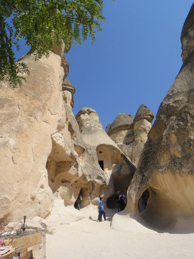 天気が良いから映える。