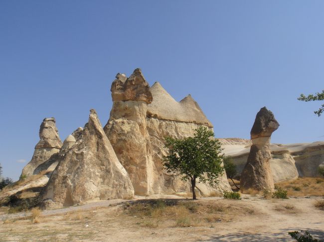 これも何かに見えると言われたが何だったかな？