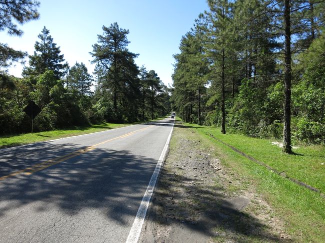 牧歌的な風景が続きます。
