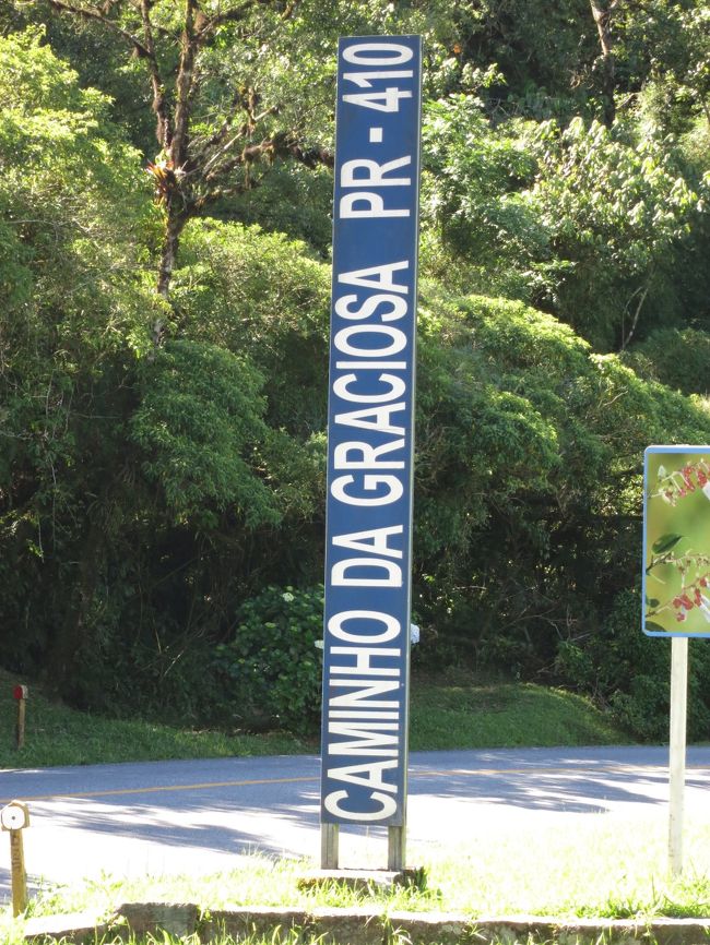 グラシオサ街道に入ります。