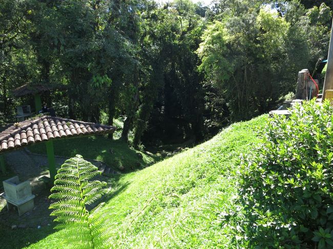 休憩所の周囲には、遊歩道が整備されています。