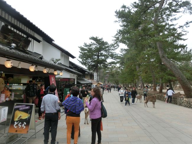 南大門へ向かう参道<br /><br />修学旅行で来て以来ですが、まったく覚えてません。。