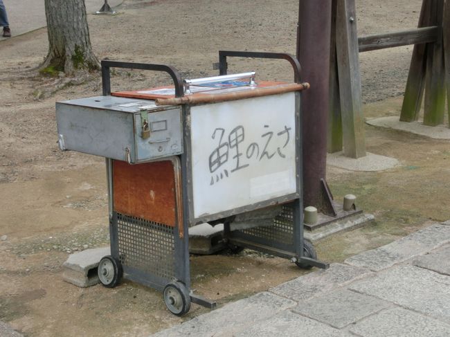 鯉のえさ<br /><br />鯉はどこにいるの？