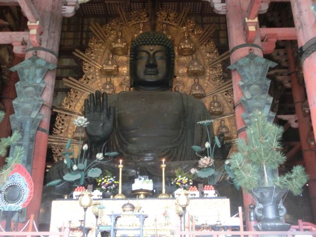 見るのは2度目ですが、やはり圧倒的なスケール<br /><br />千年以上前の人がこれを作ったとは恐れ入ります