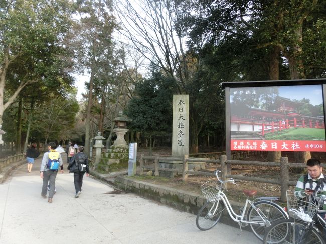 歩きっぱなしで疲れてきましたが<br />16時過ぎ、まだ春日大社の拝観終了まで50分ほどあったので<br />強行しました