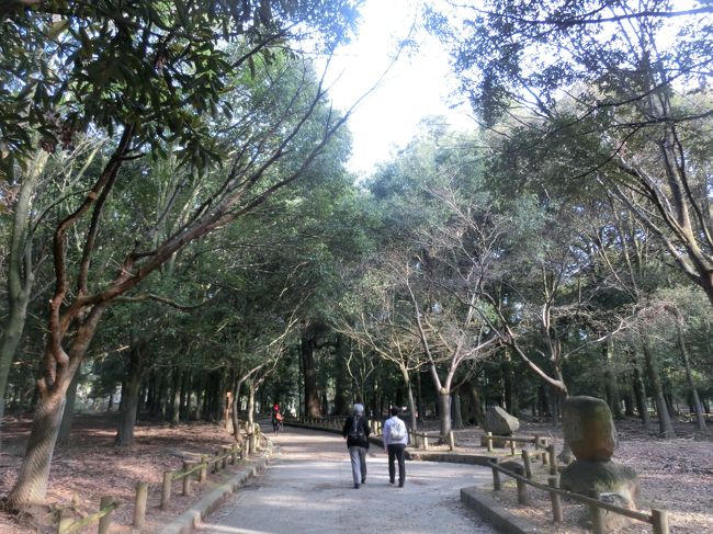 こんな感じの緑の中をずーっと歩き、