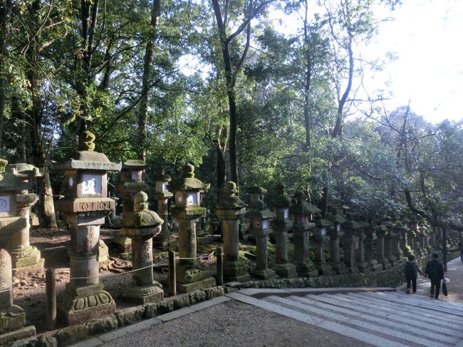 上の写真とまったく同じコメント