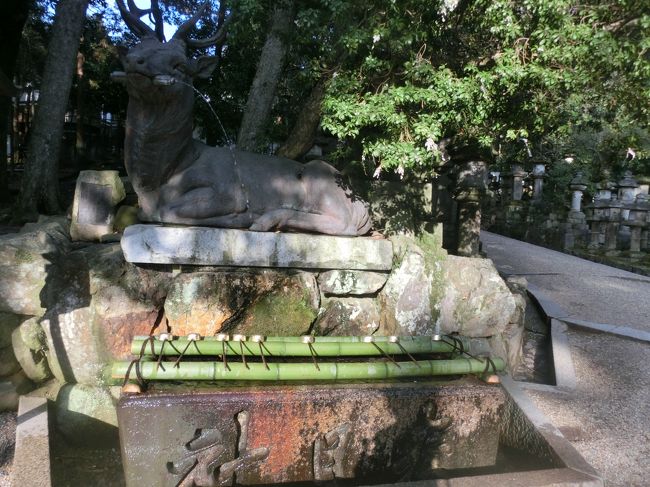 こういうのを見ると写真に撮りたくなります